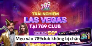 Anh Dai Dien Meo Vao 789club